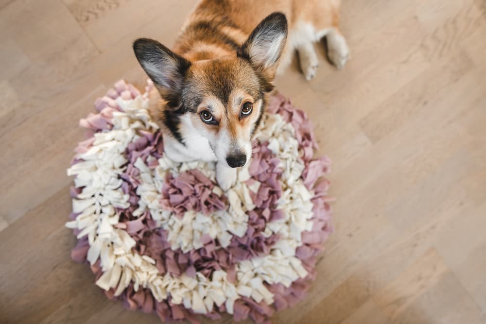 Snuffle Mats for Dogs